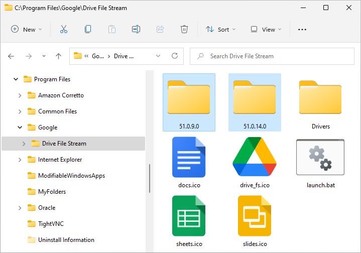 Google Drive folder after auto-update