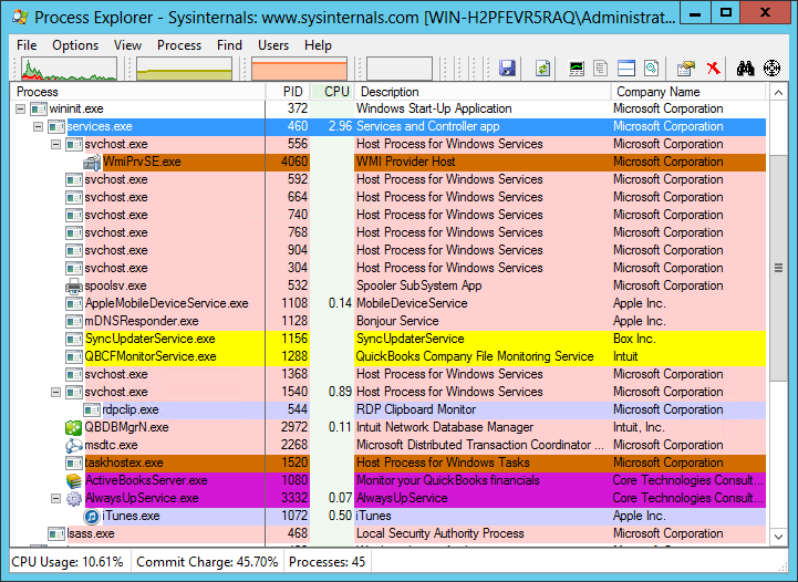 Service host process