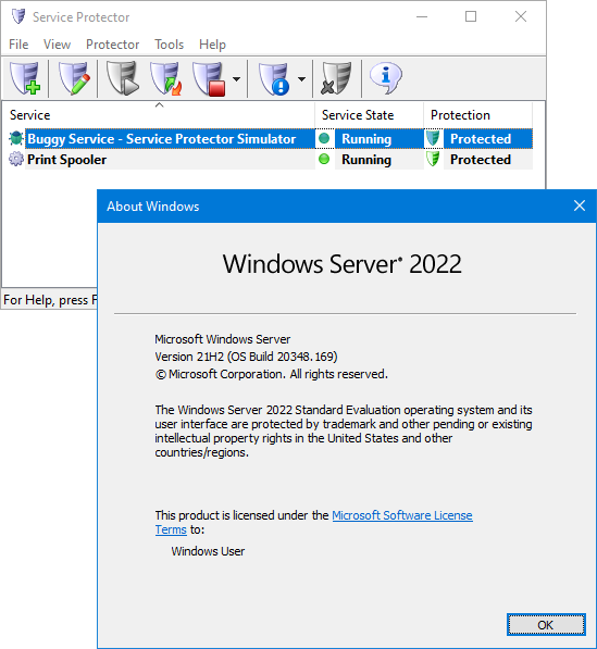 Service Protector on Server 2022