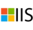 Keep IIS Windows Service Running 24/7