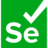 How to run Selenium Server as a Windows Service with AlwaysUp