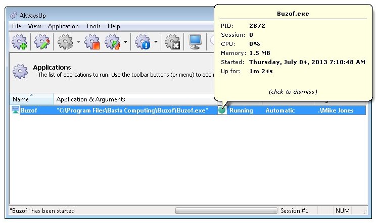Buzof Windows Service: Running