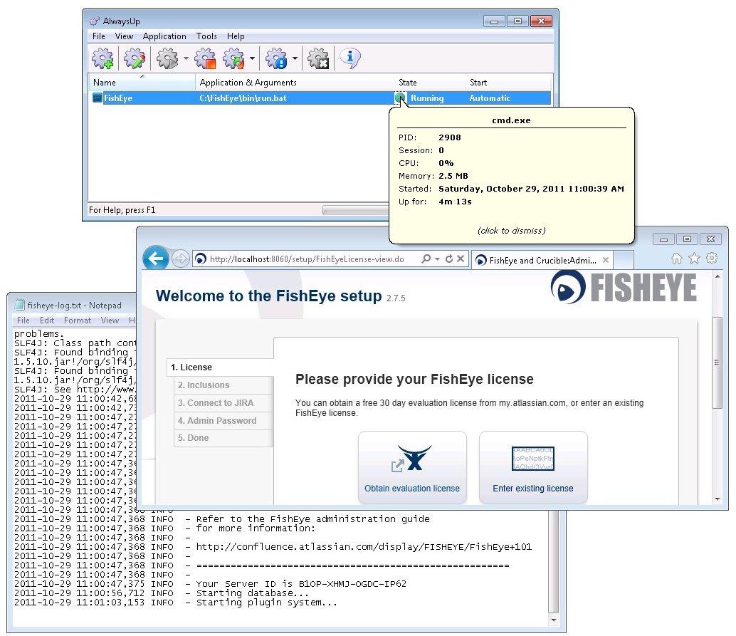 FishEye Windows Service: Running
