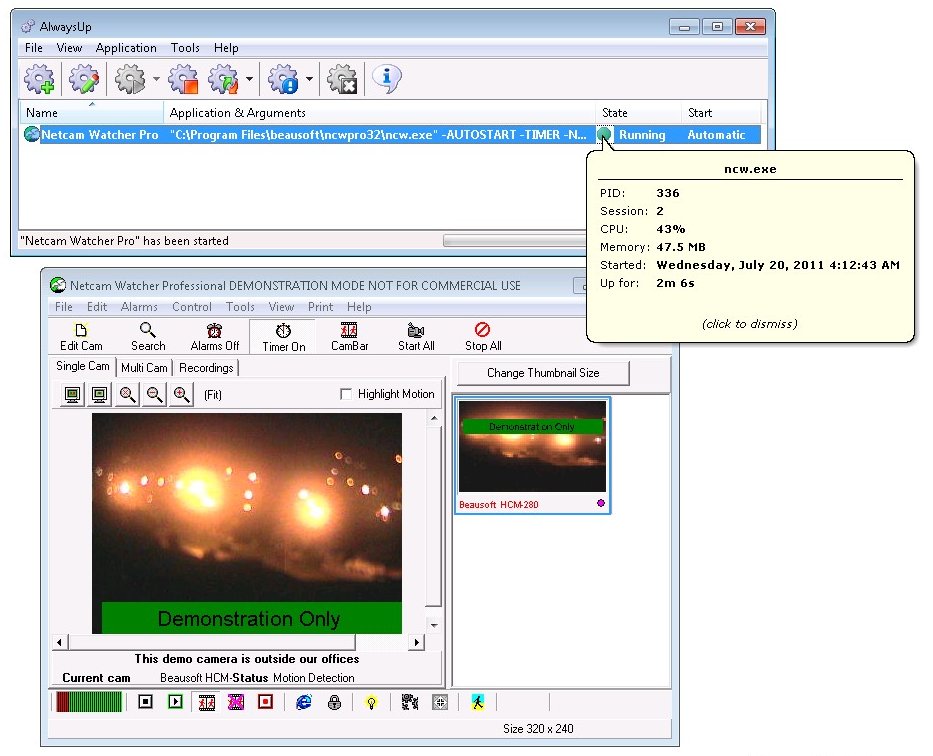 Netcam Watcher Windows Service: Running