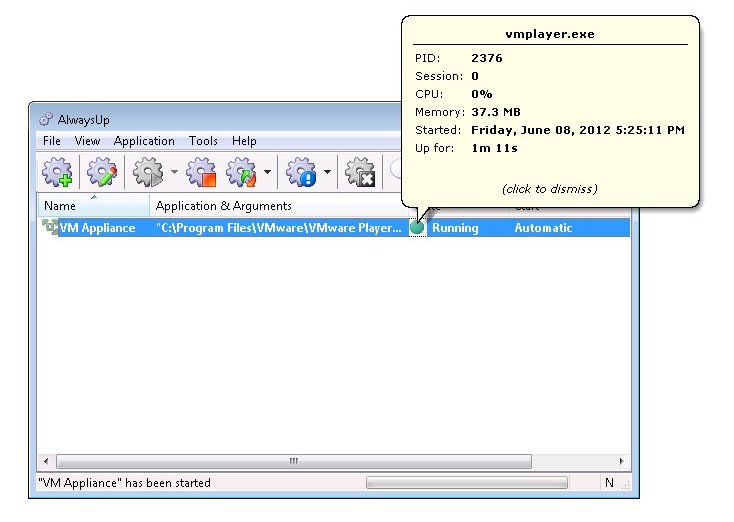 VMware Player Windows Service: Running