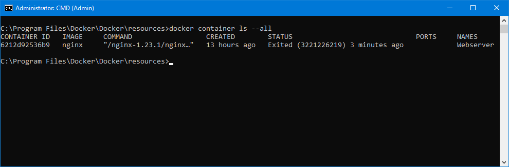 Docker NGINX container installed