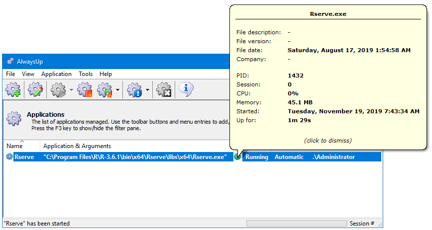 Rserve Windows Service: Running Information