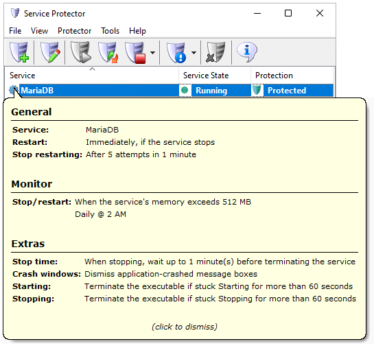 Service Protector Application Settings Popup