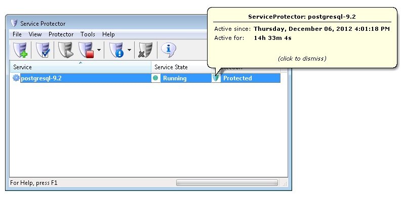 Service Protector: Protection Information