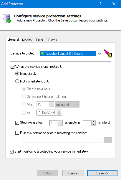 Crowd Windows Service: General Tab