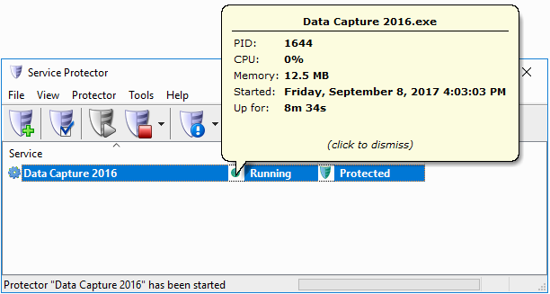 Data Capture Windows Service: Information Tooltip