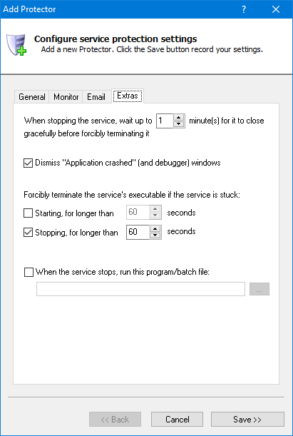 RaiDrive Windows Service: Extras Tab