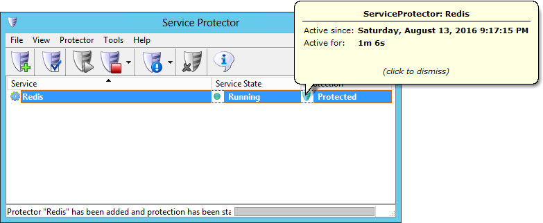 Redis Windows Service Protector Details