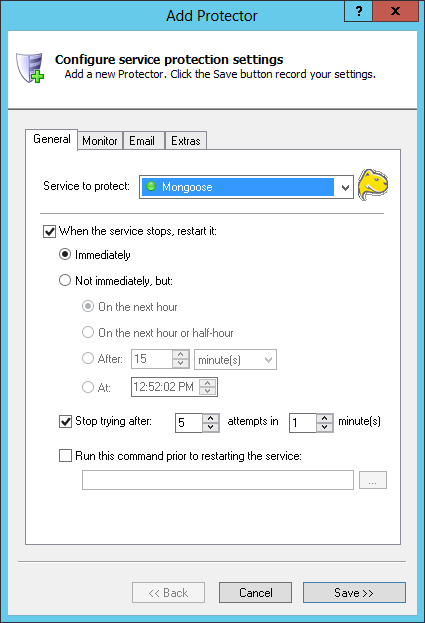 Mongoose Windows Service: General Tab
