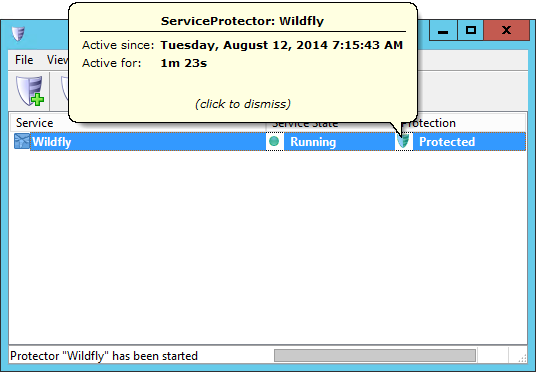 WildFly Windows Service: Protection Details